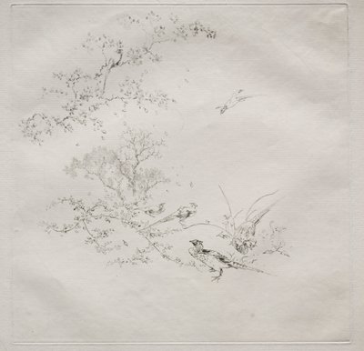 Parisian Service Haviland service：Fog no。 1、1875。 作： Felix Bracquemond