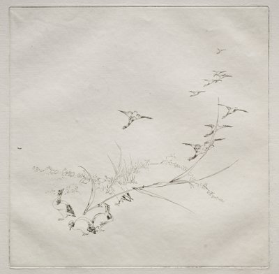 Parisian Service Haviland service：太陽の下で。 1875年9月。 作： Felix Bracquemond