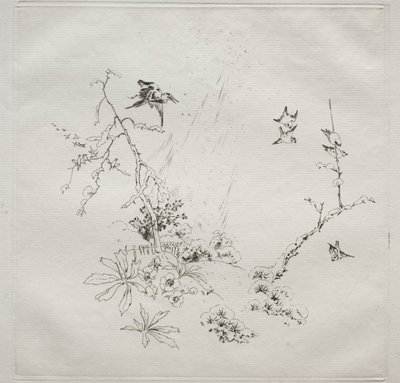 Parisian Service Haviland service：Snow no。 6、1875。 作： Felix Bracquemond
