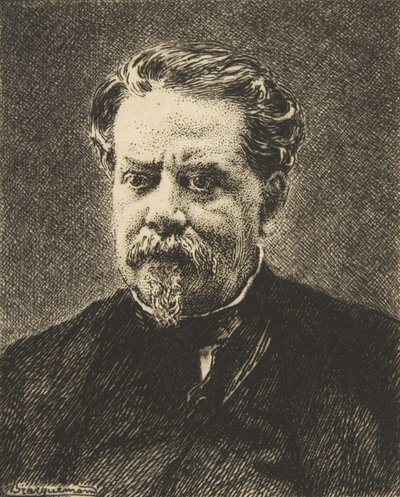 ベンジャミン・フィヨンの肖像、1876 年。 作： Felix Bracquemond