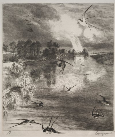 ツバメ、1882年。 作： Felix Bracquemond