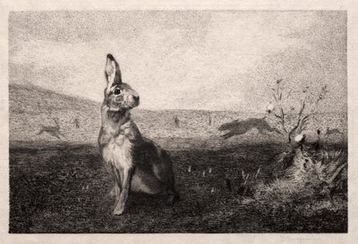 A. de Balleroy後のノウサギ、1865年。 作： Felix Bracquemond