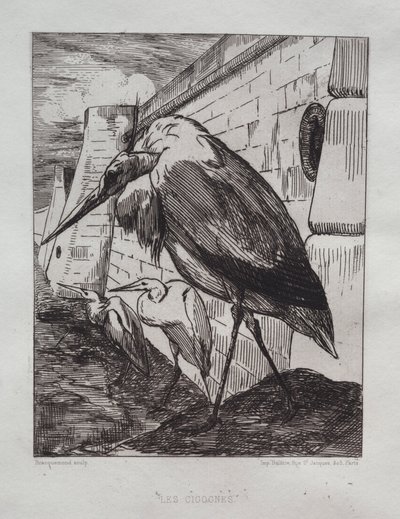 コウノトリ、1865。 作： Felix Bracquemond