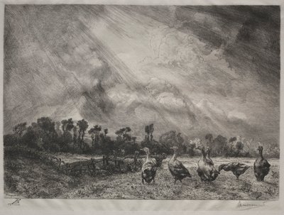 嵐の雲、1878年から1887年。 作： Felix Bracquemond