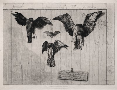 スイングドアの上部、1852年に1865年を印刷。 作： Felix Bracquemond