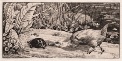未知なるもの 作： Felix Bracquemond