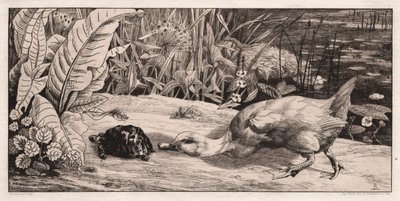 不明、1862年。 作： Felix Bracquemond