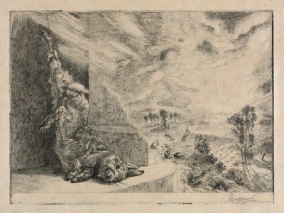 野生のウサギ、1891年。 作： Felix Bracquemond