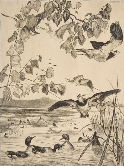 ラップウィングとサルセル、1862年。 作： Felix Bracquemond