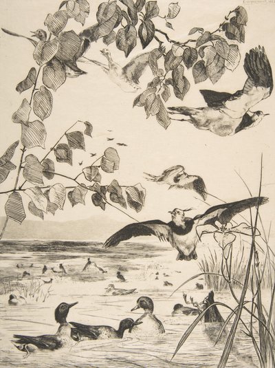 ラップウィングとサルセル、1862年。 作： Felix Bracquemond
