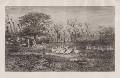 ガチョウ、1860-98。 作： Felix Hilaire Buhot