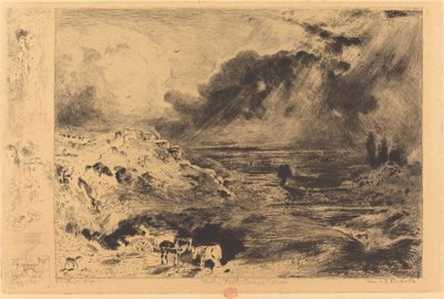 ロラージュ・ザ・ストーム、1879年。 作： Felix Hilaire Buhot