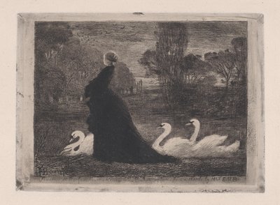 白鳥の貴婦人、1879 年。 作： Felix Hilaire Buhot