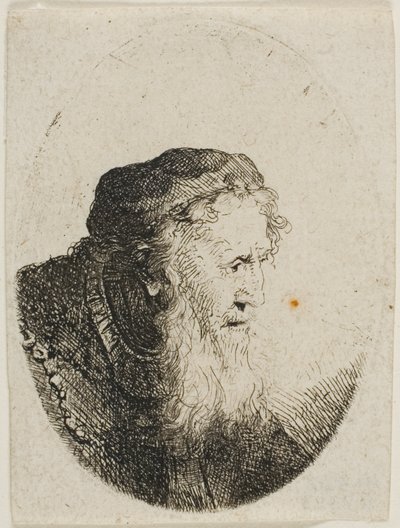 スカルキャップをかぶったひげ面の老人 作： Ferdinand Bol