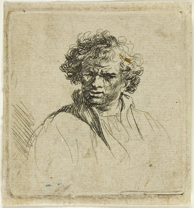 しかめっ面の巻き毛の男 作： Ferdinand Bol
