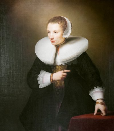 見知らぬ女性の肖像 作： Ferdinand Bol