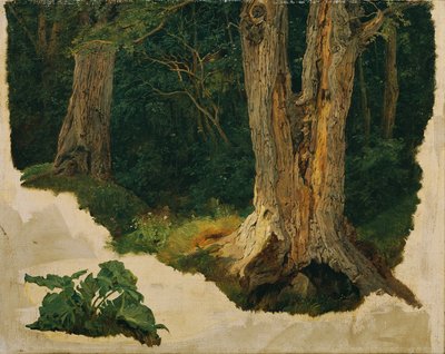 木の研究 作： Ferdinand Georg Waldmuller