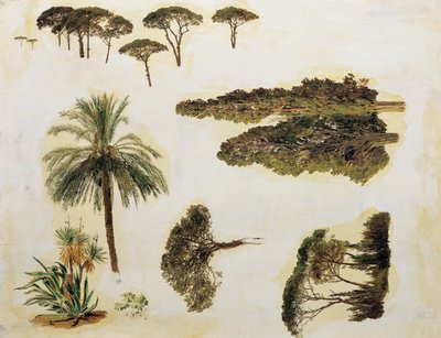 ローマの木の研究 作： Ferdinand Georg Waldmuller