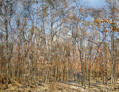 ブナの森、1885-1894 作： Ferdinand Hodler