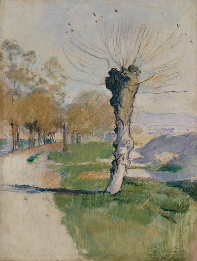 交差点の柳の木、または春の柳の木、1885年頃（キャンバスに油彩） 作： Ferdinand Hodler