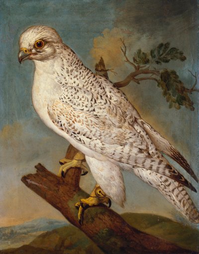 枝にいる鷹、1736年 作： Ferdinand Phillip de Hamilton
