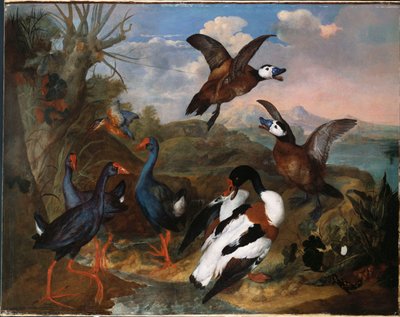 シェルアヒルと他の家禽、1720年 作： Ferdinand Phillip de Hamilton