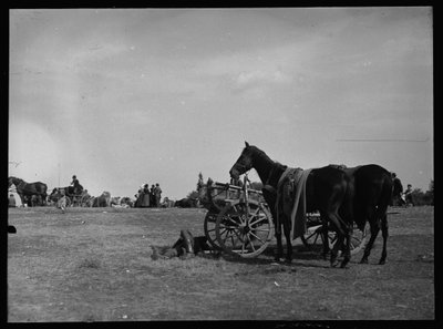 セメレで荷車の横に並ぶ馬 作： Ferdinand Schmutzer