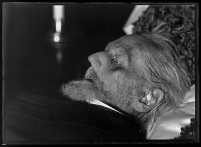 アンティークのルドルフ（1812-1905）、死の床につく 作： Ferdinand Schmutzer