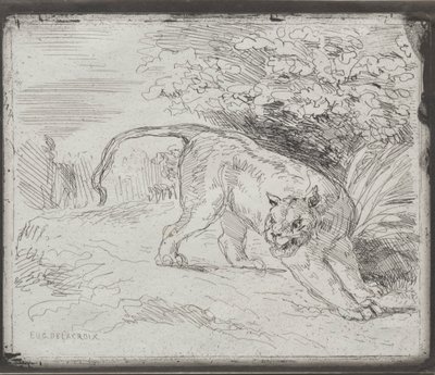閉じ込められた虎、1854年。 作： Ferdinand Victor Eugene Delacroix
