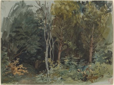 ノアンの森の端、c。 1842～1843年（水彩） 作： Ferdinand Victor Eugene Delacroix