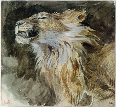 ライオンの頭（紙に水彩） 作： Ferdinand Victor Eugene Delacroix
