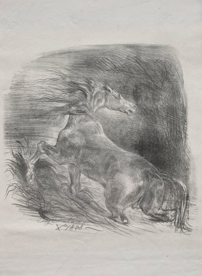野生の馬、または水を離れる恐怖の馬、1828年。 作： Ferdinand Victor Eugene Delacroix