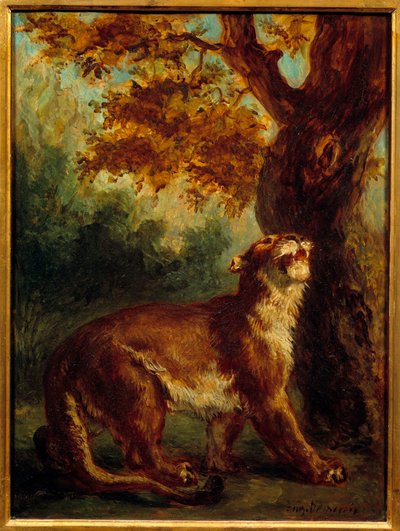 クーガーは獅子が獲物を見張っているとも言う。ウジェーヌ・ドラクロワ（1798-1863）による絵画 作： Ferdinand Victor Eugene Delacroix