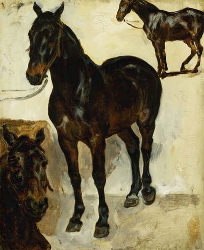 馬の3つの研究;馬に関する3つの研究、1823年 作： Ferdinand Victor Eugene Delacroix