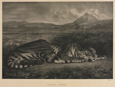 ロイヤルタイガー、1829年。 作： Ferdinand Victor Eugene Delacroix