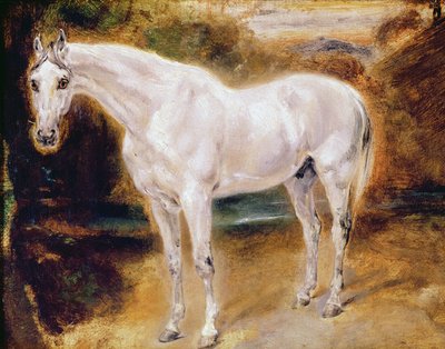 白馬 作： Ferdinand Victor Eugene Delacroix