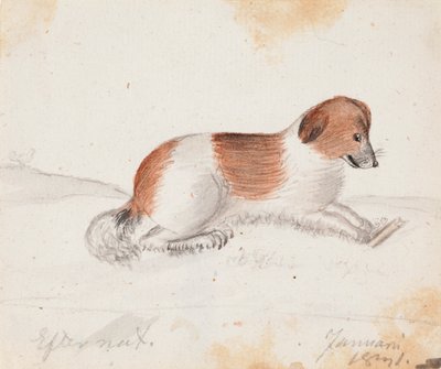 犬 作： Ferdinand von Wright