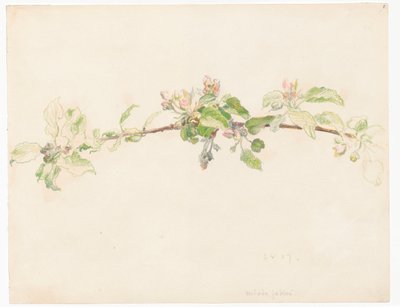 花咲くリンゴの木の枝 作： フェルディナンド・ルシュチク