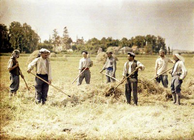 フランス陸軍第143歩兵師団の8人のメンバーが干し草、ソワソン、エーヌ、フランス、1917年（オートクローム）を作っています。 作： Fernand Cuville