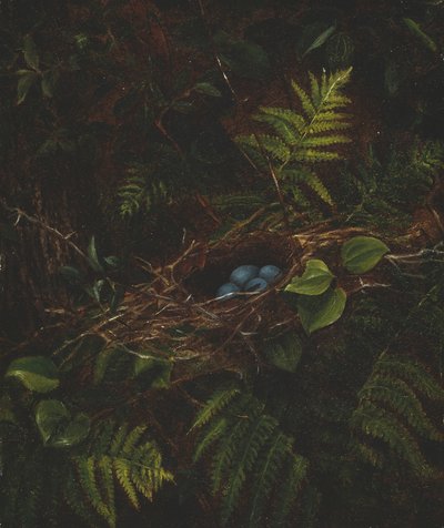 鳥の巣とシダ 作： Fidelia Bridges