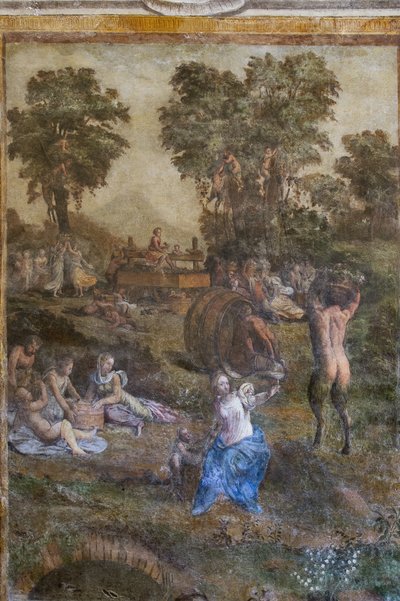 「収穫」、カメリーノ デイ バッチャナーリ (フレッシュ) の詳細 作： Filippino (and workshop) Lippi