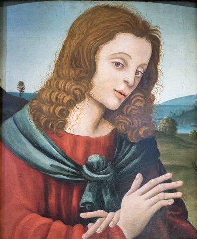 福音書記者聖ヨハネ、フィリッピーノ・リッピの弟子（木・油彩） 作： Filippino Lippi