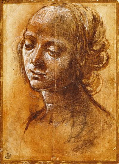 女性像（フィリッピーノ・リッピ（1457-1504年頃）作）、デッサン 作： Filippino Lippi