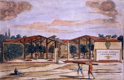 カミージョコンジオ（fl.1630）によって彫刻された、ジョヴァンニバティスタフェラーリによる「ヘスペリデス」からのカバーされた果樹園、1646年公開 作： Filippo Gagliardi