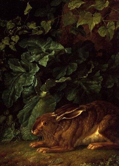 下草の中のうさぎ 作： Filippo Hackert