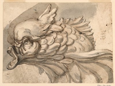 素描、イルカの頭部、1775年頃 作： フィリッポ・マルキオーニ