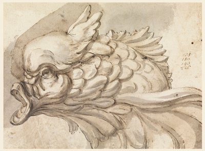 ドローイング、イルカの頭、ca。 1775年 作： Filippo Marchionni