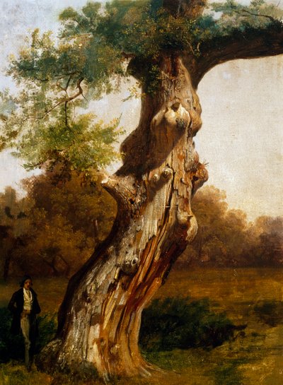 The tree（油彩・キャンバス 作： Filippo Palizzi