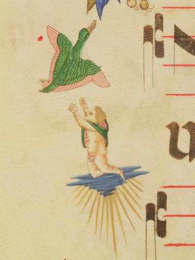 Missal 515 f.13v 1449のベラムの詳細56721の前に実行された合唱団の本の詳細である装飾的な境界線から、飛んでいる鳥を捕まえようとするマントの天使 作： Filippo di Matteo Torelli