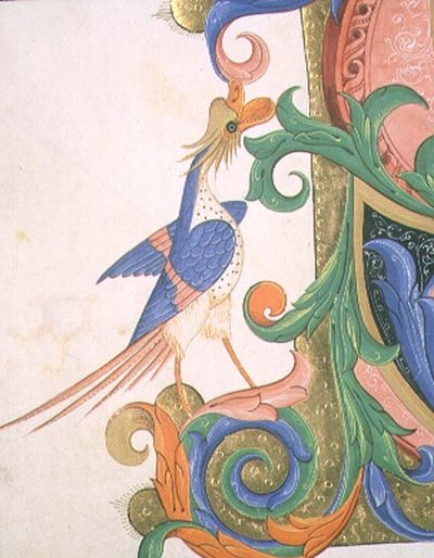 Missal 515 f.20v 幻想的な鳥、1449年以前の合唱曲集の歴史的なイニシャルの装飾の詳細（ヴェラム製） 作： Filippo di Matteo Torelli